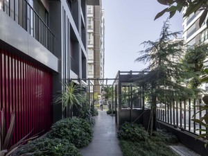 ala (16).jpg