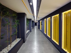 aca_suite (20).jpg