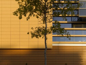 04__panora_exterior_detail.jpg