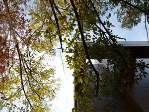 1 (13).JPG