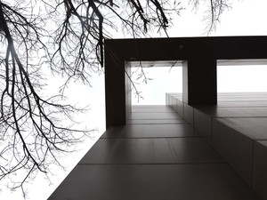 1 (8).JPG