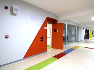 IMG_8013.jpg