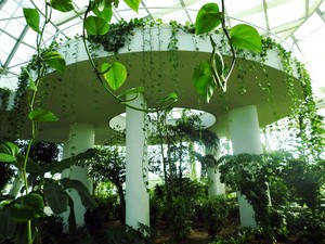 EXPO SERASI 12.JPG