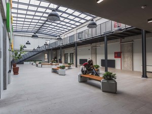 IMG_3340.jpg