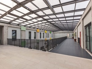 IMG_3379.jpg