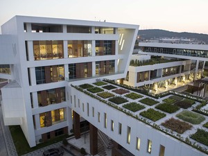 1 (12).jpg
