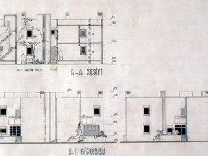 tarama0110.jpg