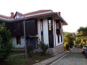 1 (4).jpg