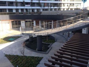 1 (11).jpg
