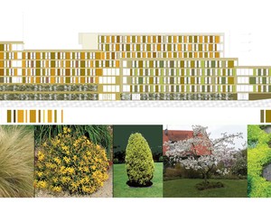 OZU student residence_FACADE COLOR PALETTE ELEVATION.jpg