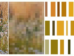 OZU student residence_FACADE COLOR PALETTE.jpg