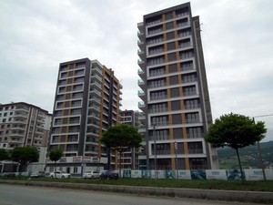 1 (1).JPG