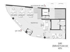 z (2).jpg