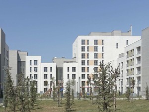 010.jpg