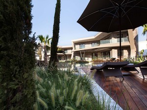 IMG_5277.jpg