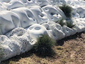 Achromescape_03.jpg