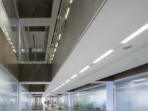 sbhb (9).jpg