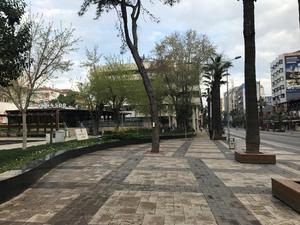 IMG_1965.jpg