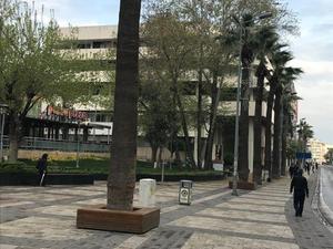 IMG_1966.jpg