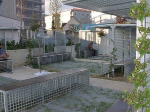 1 (10).jpg
