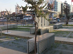1 (13).jpg