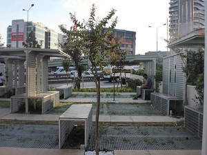 1 (14).jpg