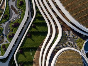 _yercekim (2).jpg