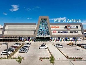 _MOA02.jpg