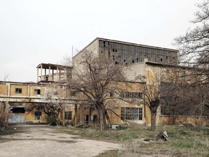 Fotoğraf: EAA