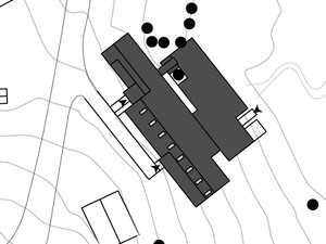 arboreal (37).jpg