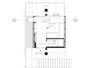 arboreal (42).jpg