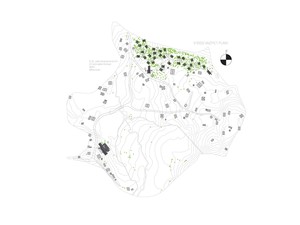 arboreal (44).jpg