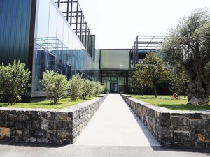 Exterior7_Enka_Office_GadArchitecture.jpg