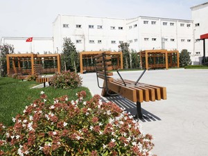 6.JPG