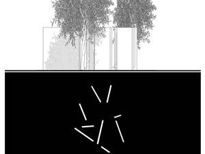 GOZ 10 (1).jpg