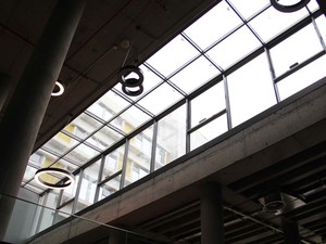 B (17).jpg