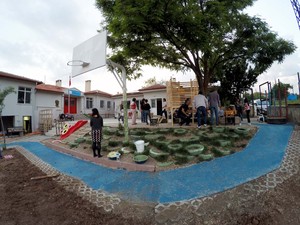 2 (10).JPG