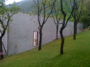 y (1).JPG