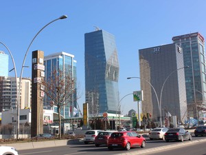 petlas_gm (2).JPG
