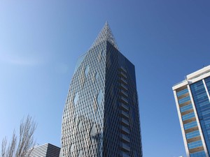 petlas_gm (9).JPG