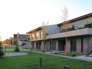 A05.JPG