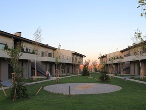 A06.JPG