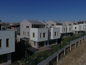 05.jpg