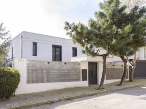 KK EVI DRAGOS (2).jpg