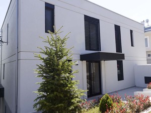 KK EVI DRAGOS (37).jpg