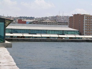 1 (1,5).jpg