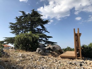 _harman (11).jpg
