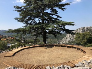 _harman (12).jpg