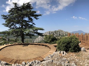 _harman (13).jpg