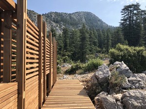 _harman (26).jpg